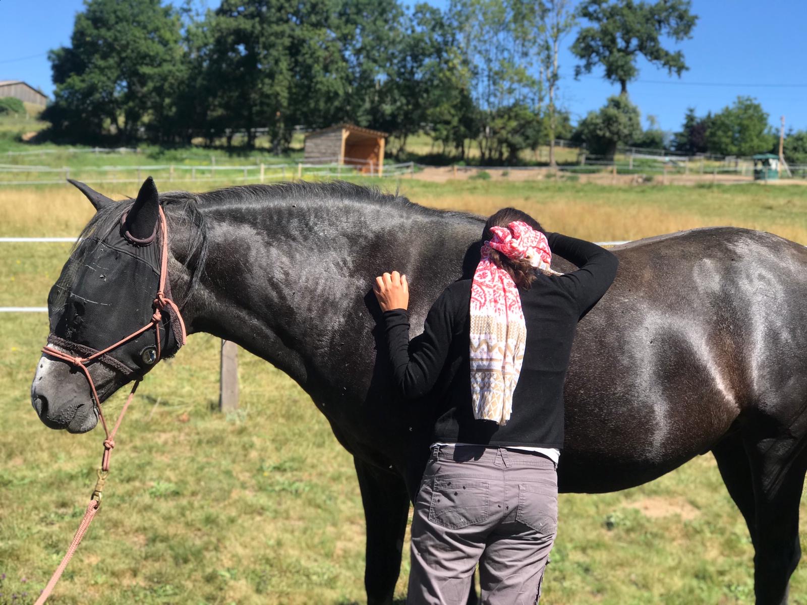 Connexion homme-cheval lors d'une séance d'équicoaching