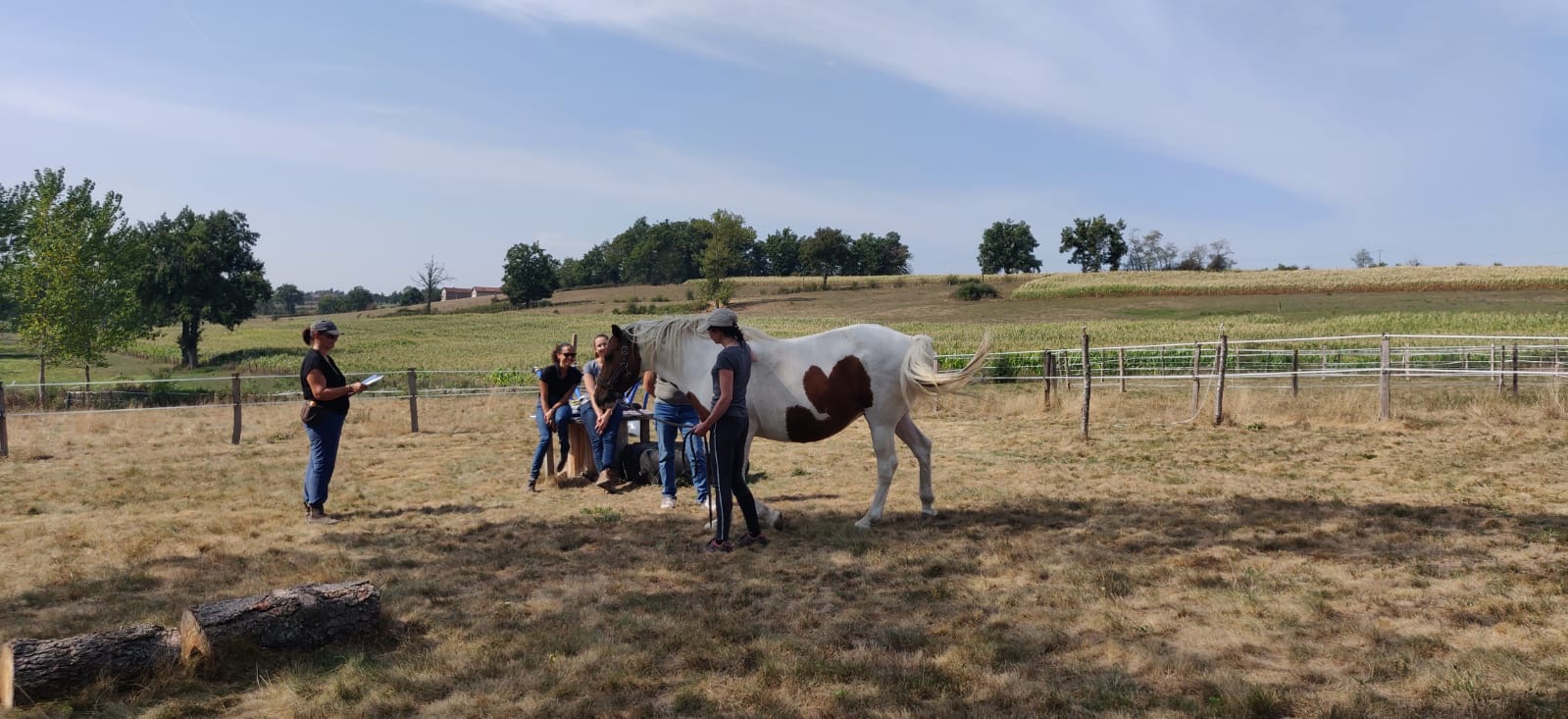 Équipe en travail avec un cheval